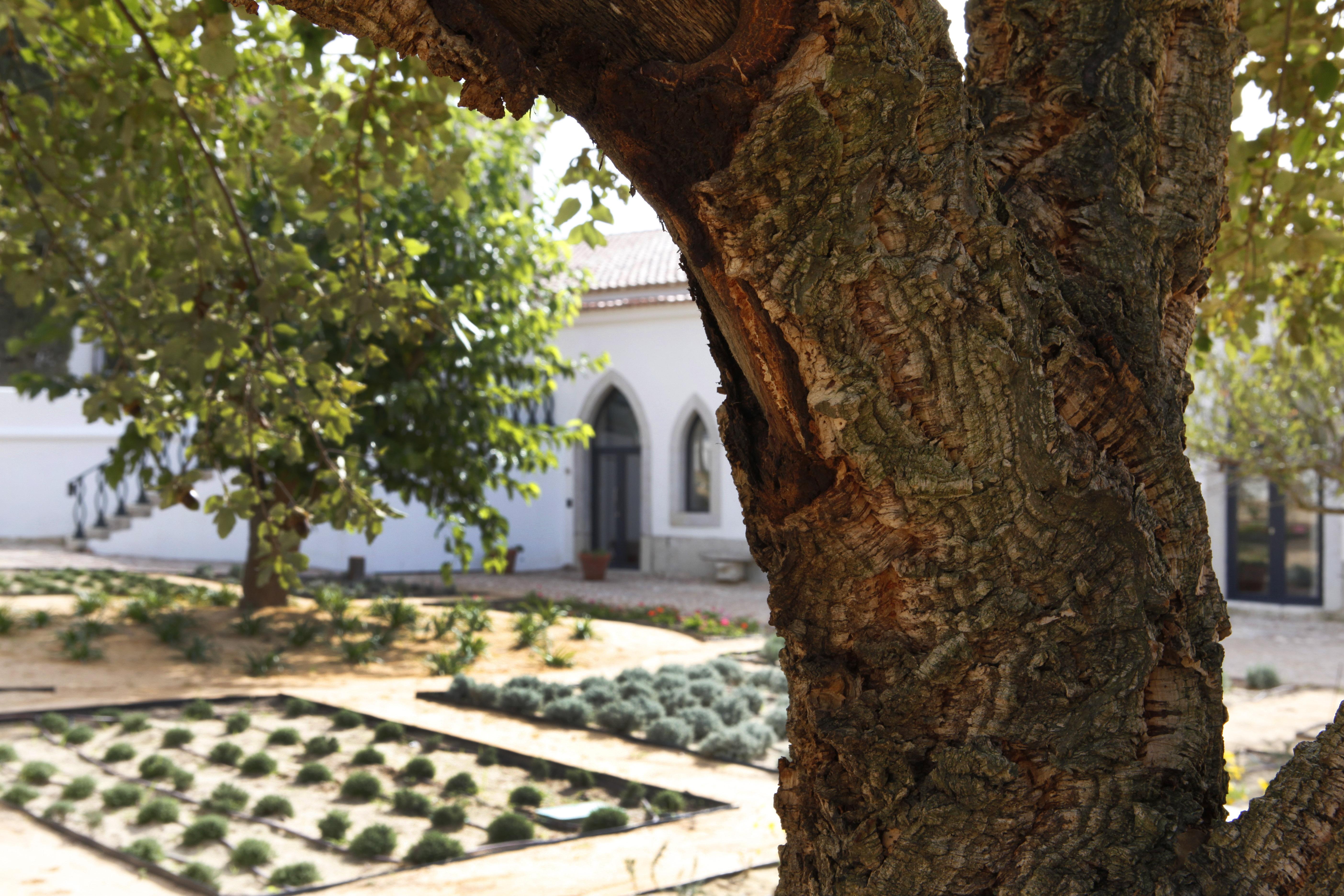 Hotel Casa Palmela - Small Luxury Hotels Of The World, Hotel & Villas Setubal Exterior photo