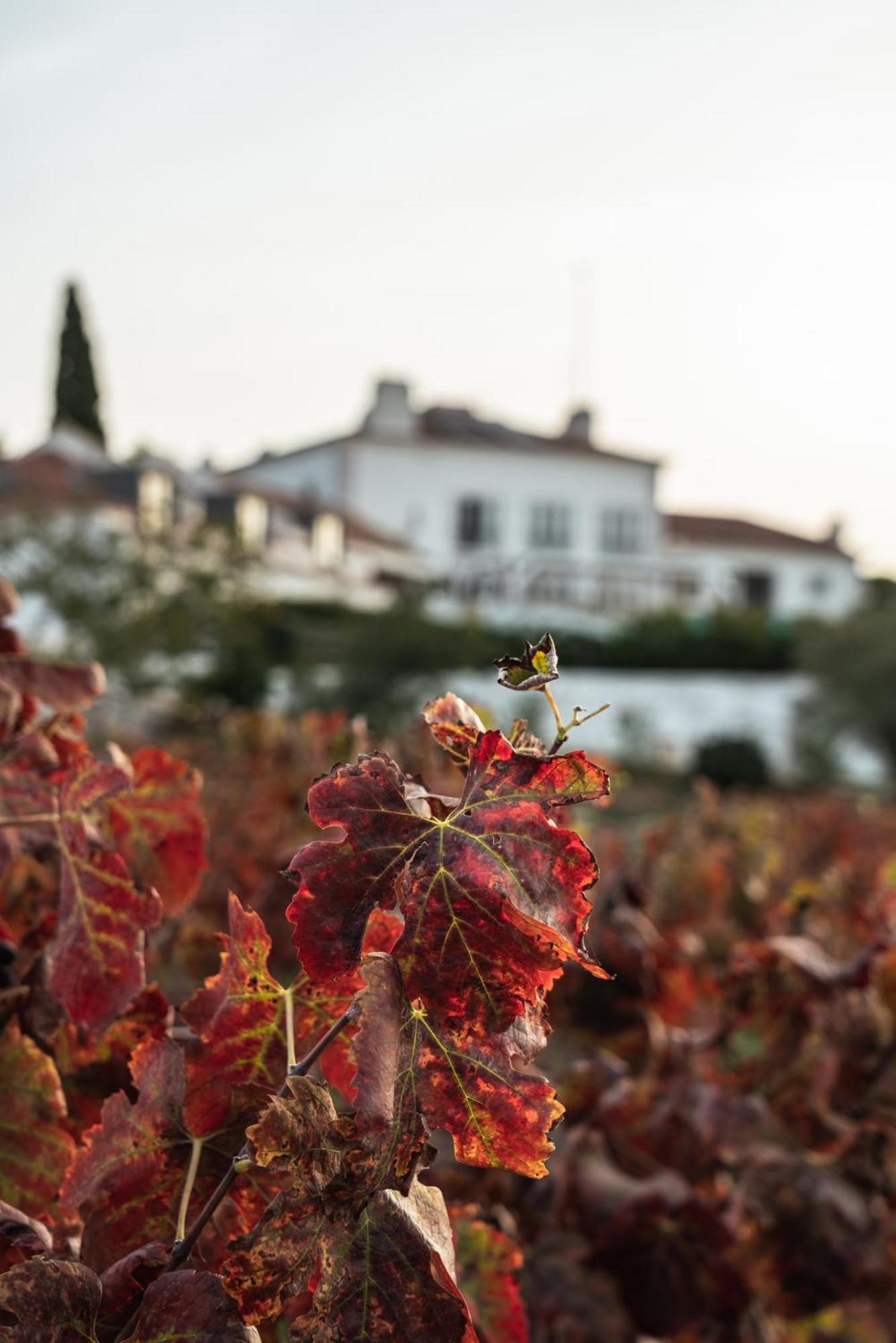 Hotel Casa Palmela - Small Luxury Hotels Of The World, Hotel & Villas Setubal Exterior photo